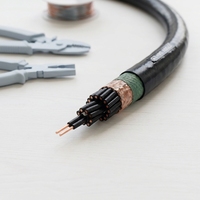 Câble de commande résistant au feu NH-KVV, cuivre, isolation PVC, bande de mica, 450/750V, multiconducteurs pour circuit d'alarme incendie et circuit d'urgence