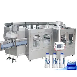 Small Scale Hot Sale 2000BPH 250ml 500ml Bottle Mineral Water Filling Machine