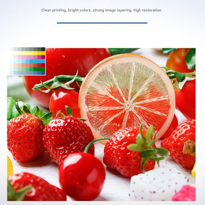 Tambour NPG-76/EXV-55/GPR-58 de haute qualité et à haut rendement en pages pour <span class=keywords><strong>Canon</strong></span> ImageRUNNER ADVANCE <span class=keywords><strong>C256i</strong></span>/257i/356i DX C357/C359. - Product Image 6