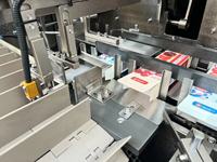 Machine d'emballage automatique multi-voies pour sachets de nourriture pour animaux, boîtes en carton, avec comptage de sacs et mise en carton