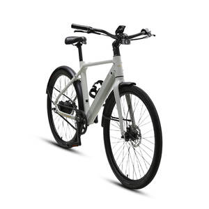 Bicicleta Eléctrica Urbana TXED, Venta Caliente, Cuadro de Aleación 700C, Híbrida de 3 Velocidades Internas, Motor Trasero de 36V 250W, Batería de Litio de 9.8AH - Product Image 1