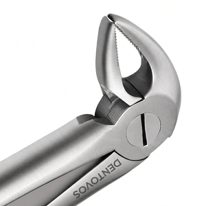 Forceps dentaires mandibéraux professionnels pour l'extraction des dents inférieures, instrument chirurgical en acier inoxydable, poignée ergonomique, dentaire - Product Image 4
