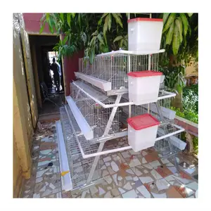 Hot sale chicken farm layer house 4 tiers layer poultry farm design