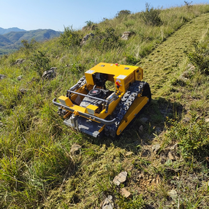 High Efficiency Agricultural CE EPA Customized Self Propelled <b>Mini</b> <b>Robot</b> Remote Lawn Mower Smart Gasoline - Product Image 2