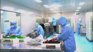 Protéine de lactosérum en poudre de marque privée <span class=keywords><strong>Optimum</strong></span> <span class=keywords><strong>Nutrition</strong></span>, saveur chocolat, pour avant et après l'entraînement, pour maintenir les muscles. - Product Image 4