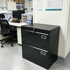 Armadio Archivio in Metallo, Armadietto Metallico, Armadietti per Archiviazione in Acciaio, <span class=keywords><strong>Mobile</strong></span> Archivio per Ufficio <span class=keywords><strong>con</strong></span> 2 Cassetti - Product Image 5