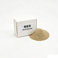 Culture pure d'Acetobacter 10 milliards UFC en poudre pour la fermentation de l'acide acétique, sacs kraft de 25 kg, durée de conservation de 12 mois, étanche