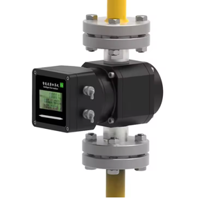スマートIP65 LPGデジタルインライン流量計SS304/316Lステンレス鋼DN25-DN200可変面積ガスメーターOEM 0.5% 精度フランジ - Product Image 3