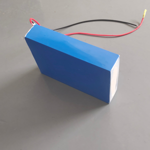 Batería de Iones de Litio LFP19.2V12AH 230WH para Dispositivos Robóticos - Product Image 1