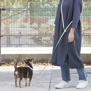 Ensemble de laisse et collier pour <span class=keywords><strong>chien</strong></span> avec motif personnalisé, harnais de luxe pour <span class=keywords><strong>chien</strong></span>, collier et laisse pour <span class=keywords><strong>chien</strong></span> de petite et moyenne taille - Product Image 5