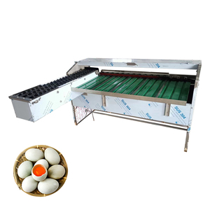 Empaquetadora clasificadora de huevos de aves de corral de clasificación pequeña de grado limpio - Product Image 2