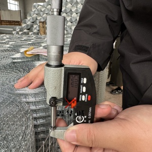 냉간 아연 도금 용접 철망 사각 구멍 녹 방지 조립 간편 맞춤형 와이어 게이지 농장 울타리, 갈판 - Product Image 4