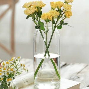 OEM Minimaliste Cylindre Vase Terrarium Plante Hydroponique Moss Terrarium Home Decor Tabletop DIY Forest Planter Glass Jar Cork Lid - Product Image 5