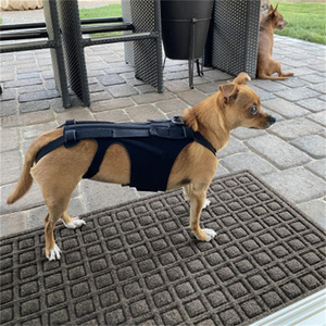 Dog Back Support Vest Adjustable Lumbar Support For IVDD Pain Relief Universal Size Black - Product Image 2