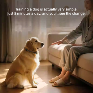 Usmileपेट रिमोट नियंत्रित कुत्ते प्रशिक्षण कॉलर इलेक्ट्रिक शॉक पालतू प्रशिक्षण कॉलर एंटी-बार्किंग डॉग प्रशिक्षण उपकरण - Product Image 3