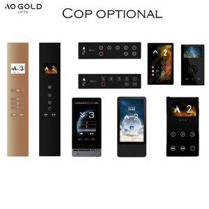 Lift Rumah Stainless Steel Harga Terbaik, Lift Pneumatik AC Tanpa Gear untuk Villa dengan Lantai PVC, Kapasitas Beban 1050kg, Kebisingan Rendah - Product Image 3