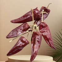 Chine Jinta piment rouge sec 10000-15000 shu vente de poudre de piment 1000-5000 Shu Yidu piment séché Indonésie Chili Seco Puya