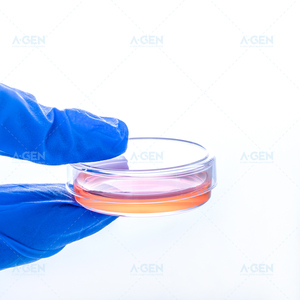 Boîte de Pétri en plastique en gros pour laboratoire, boîte de Pétri de 35 mm, consommable de laboratoire pour culture cellulaire - Product Image 6