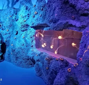 Tanque de peces con sistema de iluminación Led para acuario, accesorios de fábrica, venta directa de 1,19 + 0,01 1,49 + 0,01 - Product Image 2