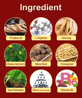 Compléments alimentaires à base de plantes JH Factory, X Power Boost biologique, amélioration masculine, énergie masculine, capsules de maca et de ginseng, pilules de vitalité masculine