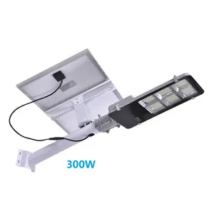 Excellent Waterproof ip65 12V mppt solar charge controller 30W 40W led solar street light