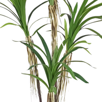 Oh Arts - Personalización de Árboles Artificiales de Dracaena de 210 cm, Dracaena Cochinchinensis, Dracaena Angustifolia