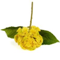 Fleurs Artificielles Murales et Plafondières, Panneaux de Plantes Succulentes Réalistes pour Jardin et Maison, en Colle Souple, pour Gazebo, Petites Décorations de Noël, Écologiques