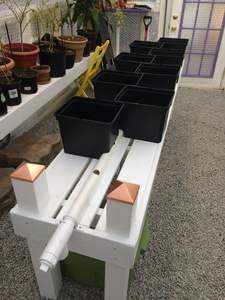 Système d'irrigation automatique de jardin Rdwc, système hydroponique DWC à bulles, seau hollandais de 5 gallons, pompe à faible bruit, PVC de qualité alimentaire pour serre - Product Image 4