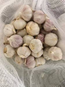 Ajo Chino <span class=keywords><strong>de</strong></span> Nueva Cosecha, Ajo Fresco Orgánico <span class=keywords><strong>de</strong></span> la Mejor Calidad, Cabeza <span class=keywords><strong>de</strong></span> Ajo Púrpura, Blanco Puro, Rojo, Exportación 10kg 20kg, Mayorista - Product Image 2