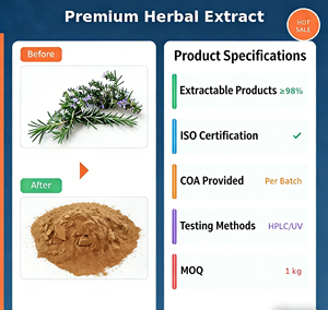 Extracto de Romero Silvestre de Cultivo Variado, Contiene 5% de Ácido Rosmarínico, Grado Alimenticio - Product Image 1