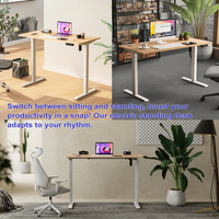 Mécanisme de levage électrique à moteur unique à 2 niveaux pour tables réglables en hauteur, cadre de bureau ergonomique pour bureau debout