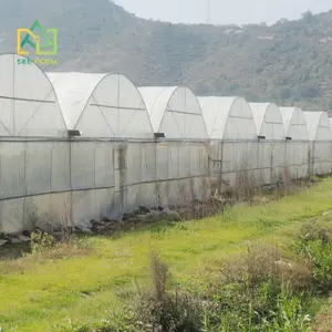 Greenhouse sintonizadores hidropônicos do fazenda com sistemas de irrigação de greenhouse