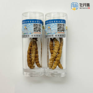 Bagian pabrik langsung dari ulat penjualan <span class=keywords><strong>Cordyceps</strong></span> Sinensis Dong Chong Cao Sinensis penggunaan medis bumbu tunggal & herbal - Product Image 3