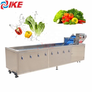 Otomatik ozon jeneratörü meyve sebze temizleme makinesi makineleri yeni Motor pompası rulman Motor su sebze yıkama ekipmanları - Product Image 2