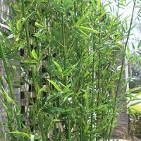 Arbre artificiel en bambou de 1,5 m, plante verte artificielle, pot de bonsaï, arbre en bambou en plastique pour la décoration intérieure et extérieure