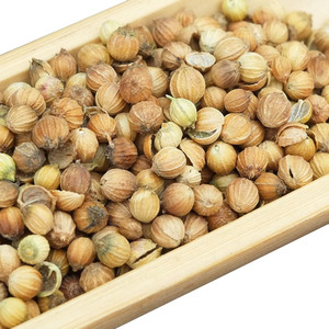 Bán buôn số lượng lớn chất lượng cao khô duy nhất gia vị và các loại thảo mộc toàn bộ rau mùi HẠT GIỐNG - Product Image 6