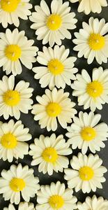 Luxury Floral Soy Wax Scented <b>Candles</b> Eco Friendly Handmade Designer <b>Candle</b> for Wedding Gift Home Decor Bulk - Product Image 2