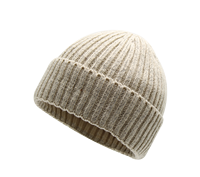 Bonnet en tricot côtelé doux thermique effet scintillant couleur avoine, bonnet d'hiver à revers roulé pour femme, usage quotidien et festif, personnalisable OEM