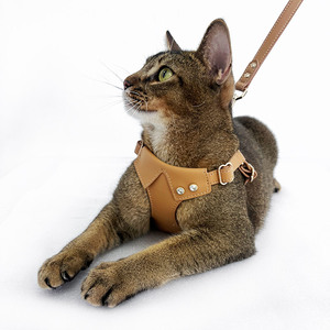 <strong>Dog</strong> <strong>Harness</strong> And Leash Set Wholesale Stocked Small Pet Chest With <strong>Rhinestones</strong> Waterproof Luxury Vegan Leather Collar Leads - Product Image 5