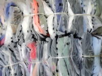 Vestidos de Mujer de Segunda Mano de Alta Calidad al por Mayor, Ropa Usada para Exportación