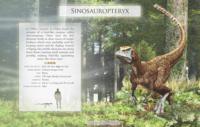 Livre éducatif en carton épais pour la maternelle espagnole, avec son, en forme de dinosaure, en matériaux sûrs et durables, économique, cadeau éducatif pour le jeu quotidien