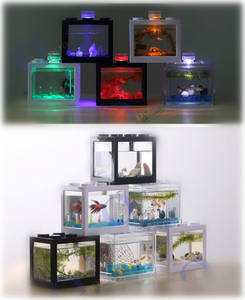 Nouveauté 2026 : Mini-<span class=keywords><strong>aquarium</strong></span> de bureau créatif en blocs de construction carrés en plastique écologique pour Betta, avec paysage à assembler - Product Image 6