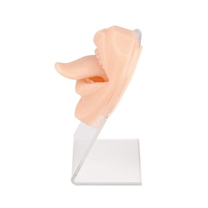 Modelo <span class=keywords><strong>de</strong></span> Silicona <span class=keywords><strong>de</strong></span> Lengua Mordida por <span class=keywords><strong>Serpiente</strong></span> <span class=keywords><strong>para</strong></span> Práctica <span class=keywords><strong>de</strong></span> Perforación Labial, Piezas <span class=keywords><strong>de</strong></span> Cuerpo <span class=keywords><strong>para</strong></span> Práctica <span class=keywords><strong>de</strong></span> Perforación Bucal, Ciencia Médica - Product Image 4