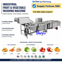 Automatische fruit- en groentewasmachine met ozonsterilisatie, motorpomp, energiebesparend en continu reinigend.