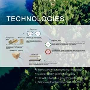 Rivestimento in Legno di Grandi <span class=keywords><strong>Dimensioni</strong></span> per Facciate Esterne, Fornitura Diretta dalla Fabbrica per Progetti Residenziali e Commerciali - Product Image 6
