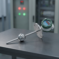 Transmitter Level Magnetik PP PTFE 4-20mA LCD Baterai Sensor Level Cairan Air, Oli, Kimia Tangki Tahan Korosi
