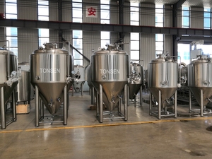Equipo <span class=keywords><strong>de</strong></span> Cervecería Artesanal Tonsen, Mini Planta <span class=keywords><strong>de</strong></span> Cerveza, Equipos para Cerveza - Product Image 5