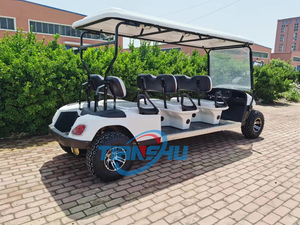 Buggy de golf eléctrico con carrito trasero equipado con posición de pie carrito de golf eléctrico todoterreno Club buggy - Product Image 3