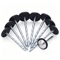 Clous de toiture galvanisés à tête parapluie de 2, 2,5, 3 et 4 pouces, à tige lisse/torsadée, fournisseur chinois