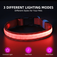 Collier pour chien lumineux à LED personnalisé en gros de Chine, accessoires pour animaux de compagnie, collier pour chien à LED rechargeable et étanche